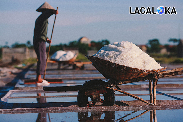 Người dân Hải Hậu đang hăng say lao động