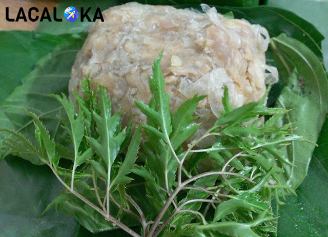 Nem nắm Giao Thủy ăn kèm lá sung, lá đinh lăng có vị bùi, chát nhẹ