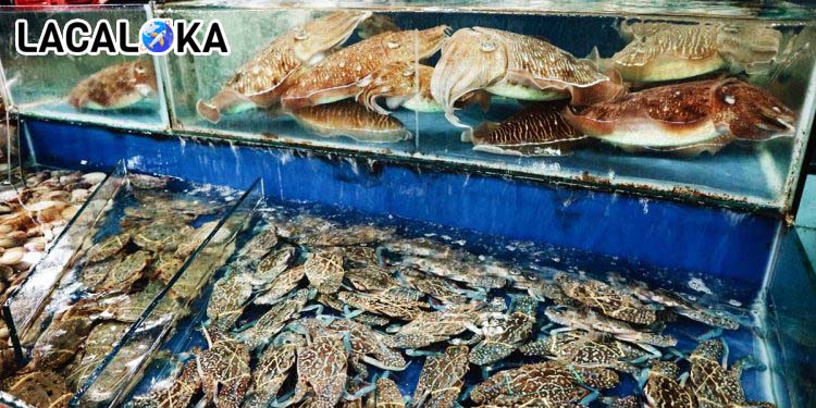 Nhà hàng hải sản tươi sống Minh Oanh