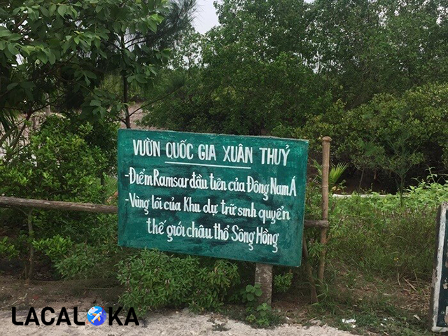 Vườn Quốc gia Xuân Thủy - Khu du lịch sinh thái với nhiều loài chim
