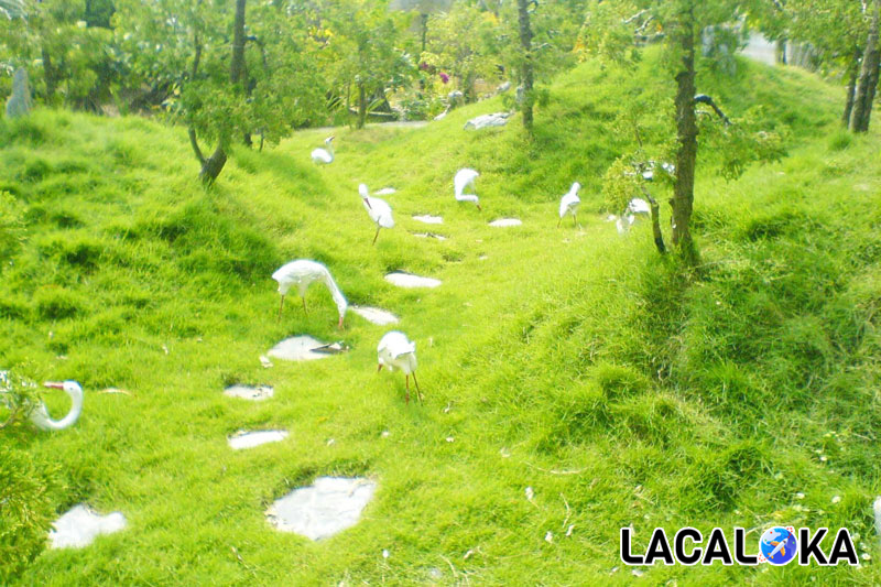 Khu du lịch sinh thái thu hút đông đảo khách du lịch