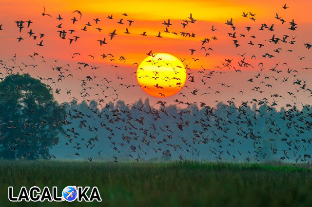 Khoảnh khắc đắt giá của Xuân Thủy