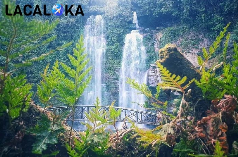 Vẻ đẹp trắng xóa của Thác Tiên trong rừng nguyên sinh Đèo Gió