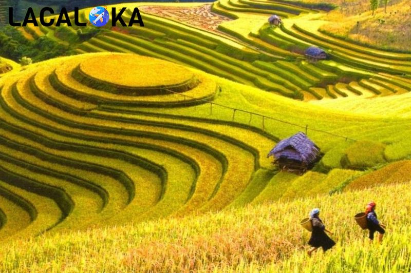 Hoàng Su Phì là địa điểm bạn không nên bỏ lỡ trong bản đồ du lịch Hà Giang