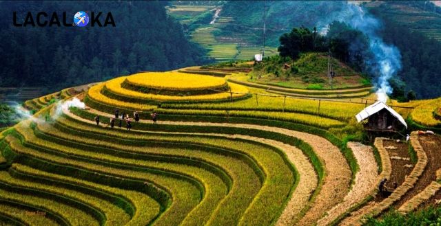 Những thửa ruộng bậc thang ở đèo Mã Pì Lèng, Mèo Vạc
