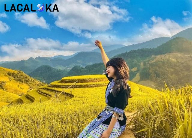 Bức tranh vàng ươm của ruộng bậc thang tại Bản Phùng