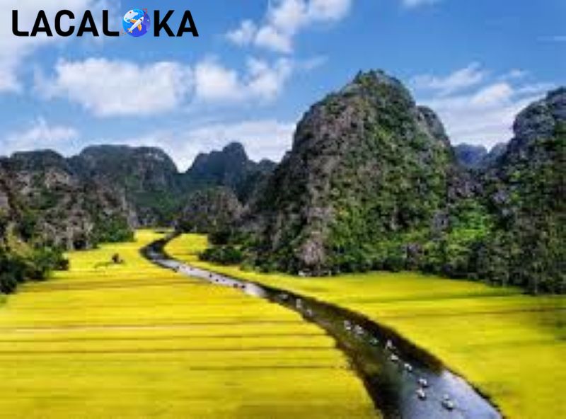 Khu du lịch Tràng An nhuộm màu vàng ươm trong mùa lúa chín