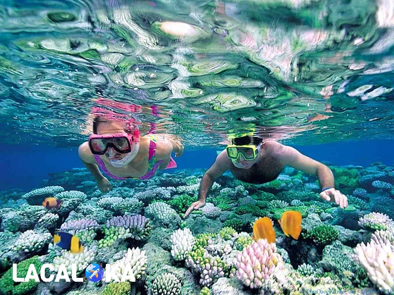 Lặn biển ngắm san hô tại Hòn Ông