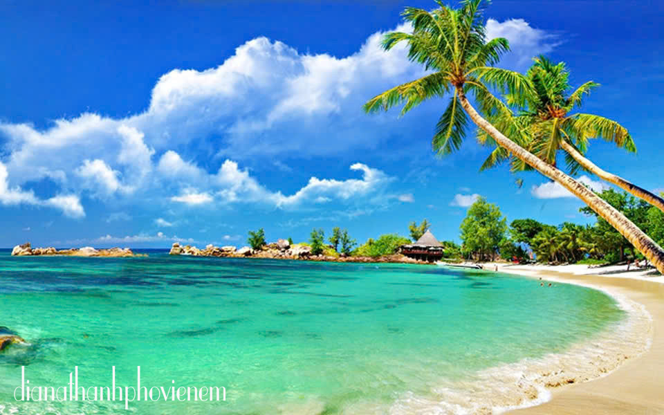 Mỹ Khê – Vẻ Đẹp Thiên Nhiên Khó Cưỡng