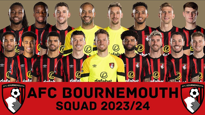 Thứ Hạng Của Bournemouth – Bức Tranh Thành Tích Đáng Ghi Nhớ