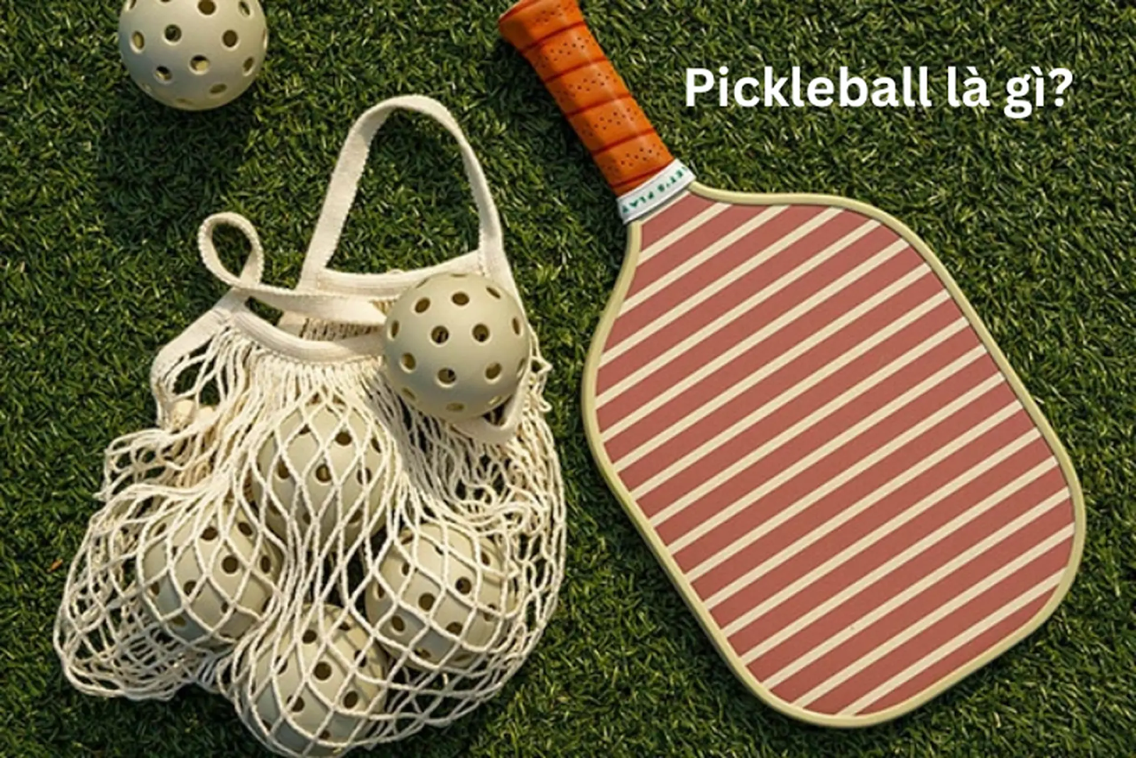 Pickleball là gì?